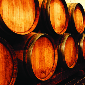 Looking down aisle of oak wine barrels in winery cellar